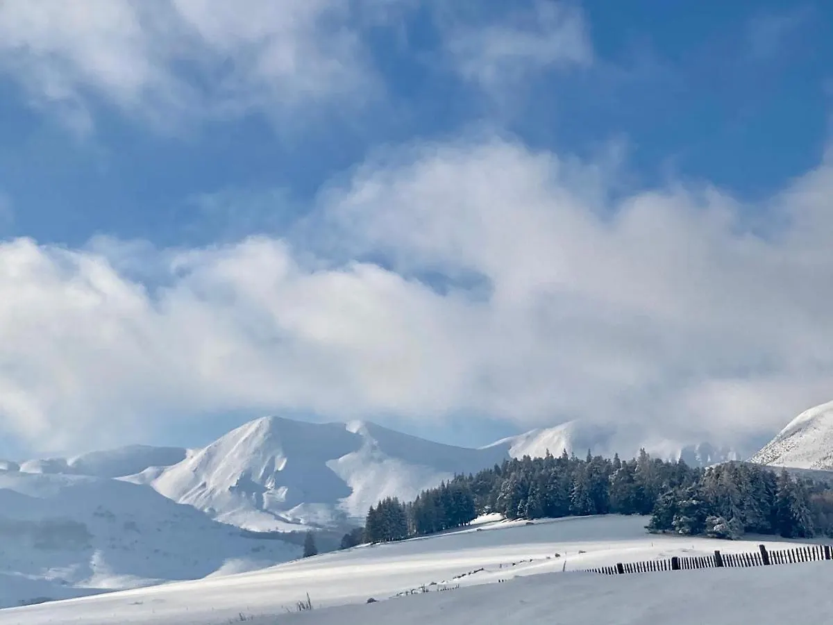 Hotel Les Mouflons Ле-Мон-Дор 3*,